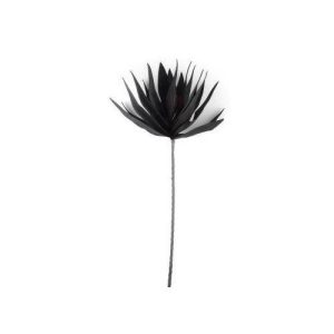 Blomma Svart 83cm